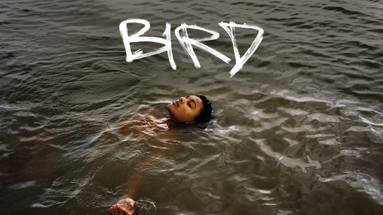 Bird (2024)