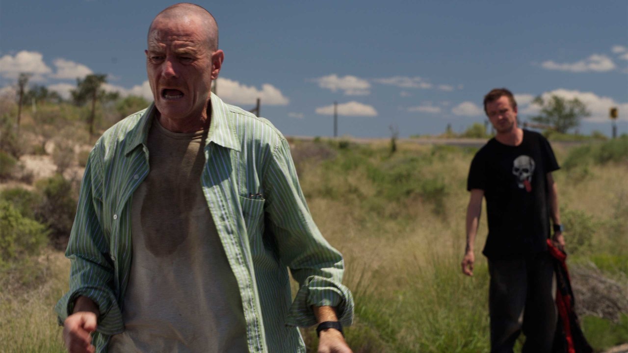 Breaking Bad: Season 2, Episode 3 – Bit By A Dead Bee