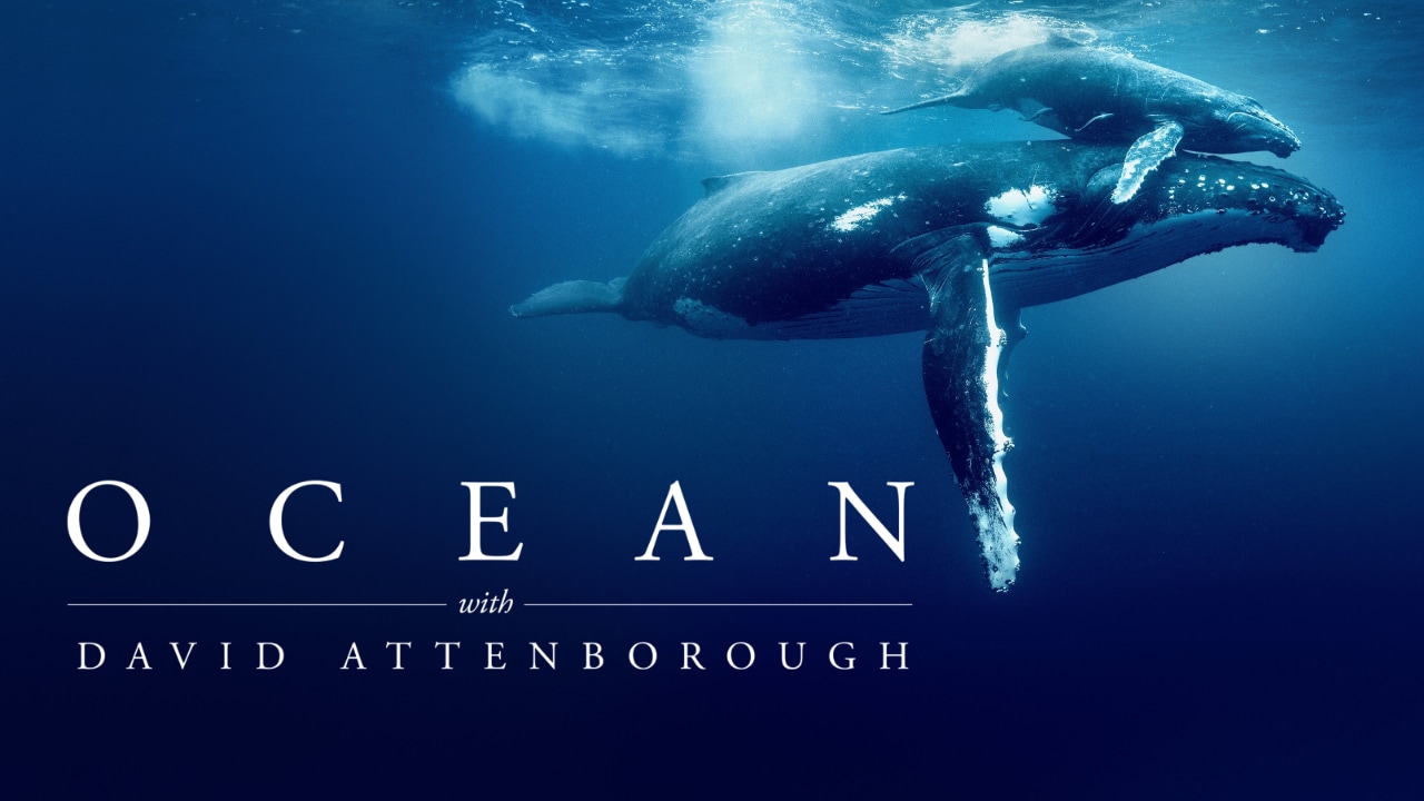 Ocean with David Attenborough (2025)