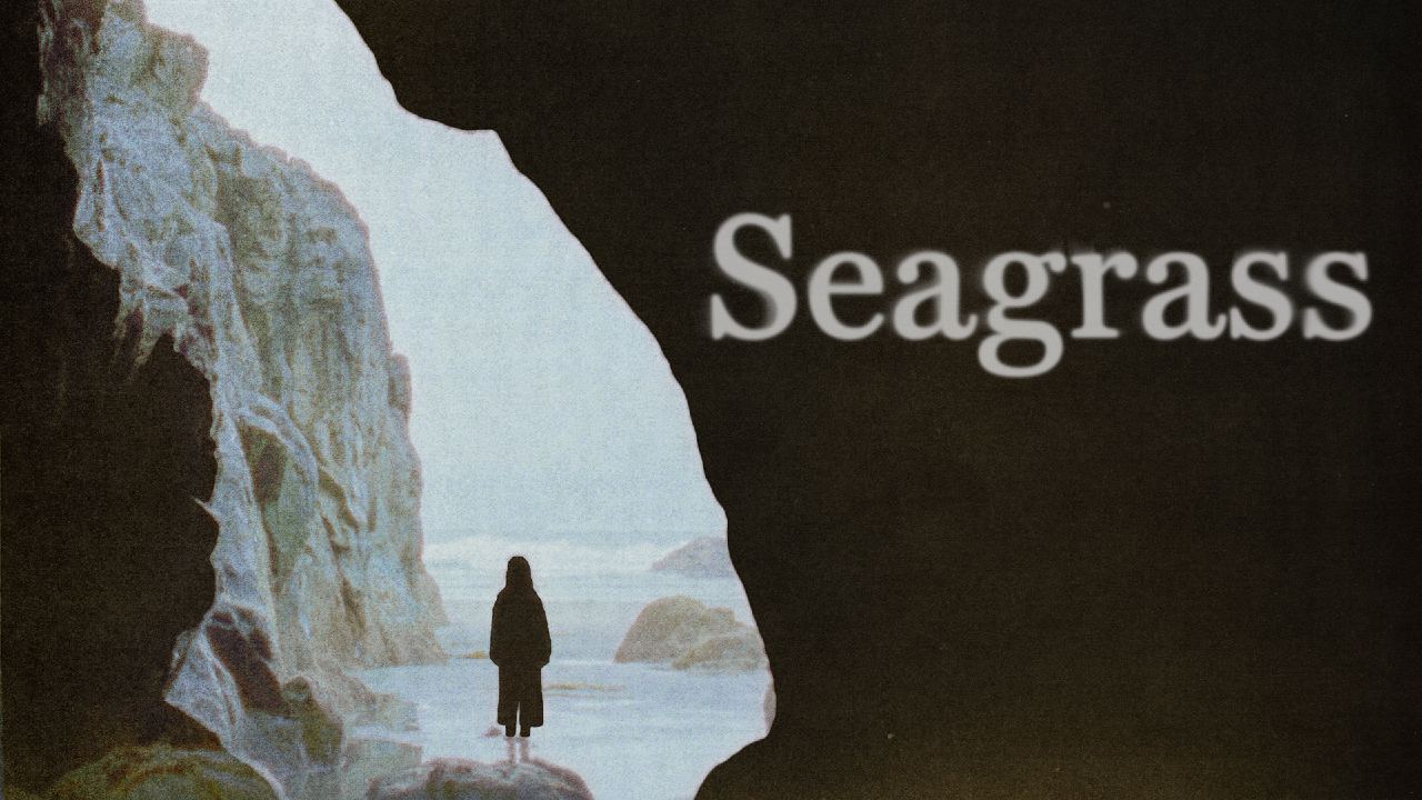 Seagrass (2023)